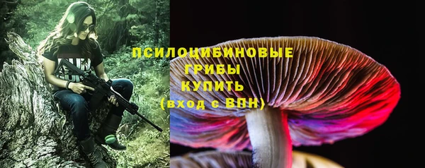 СК Алексеевка